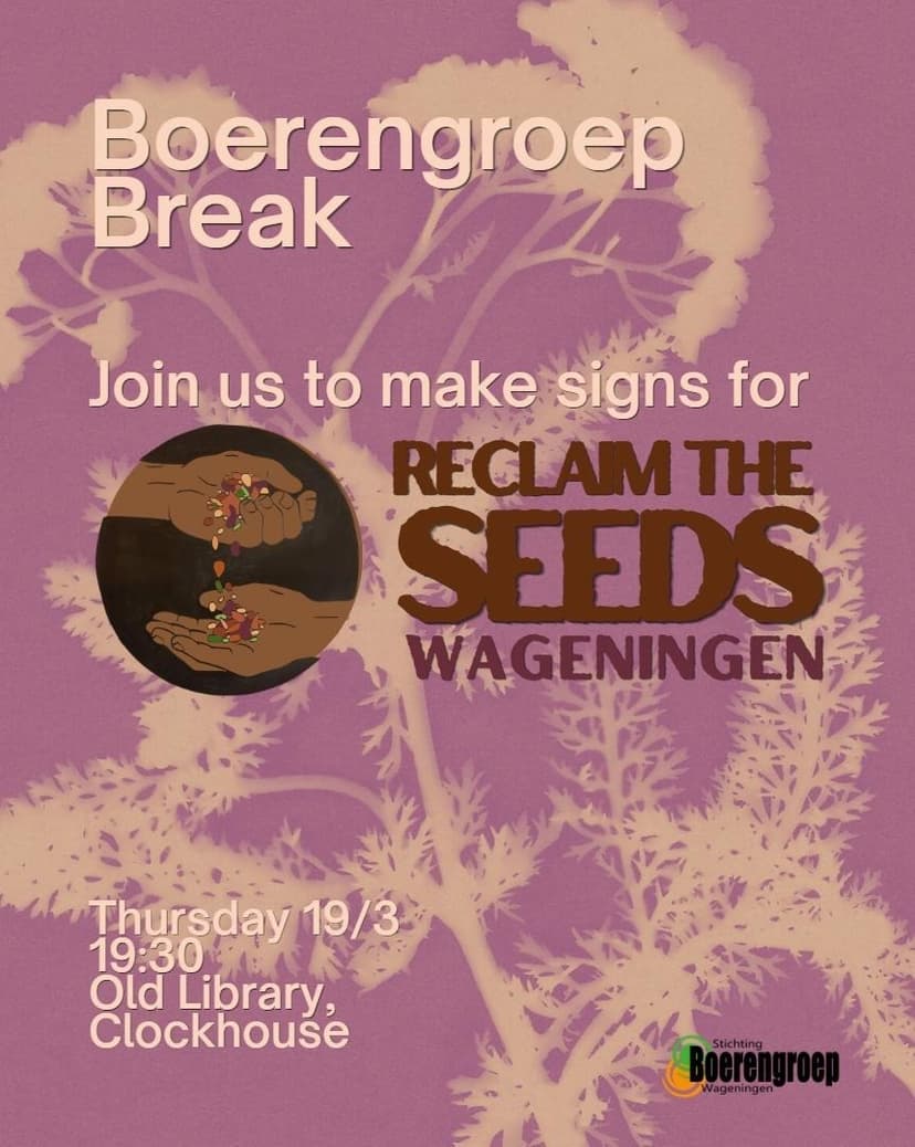 Boerengroep Creative Break🎨