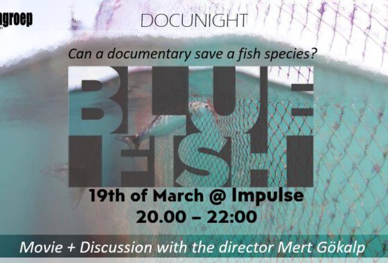 DOCU – Bluefish + Discussion with director