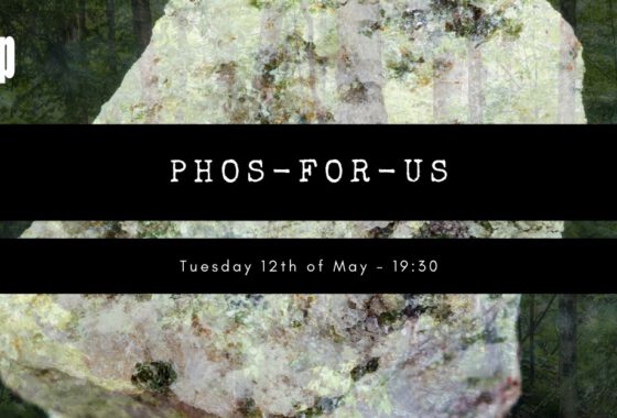 The phosphorous crisis: an alternative look from the forest