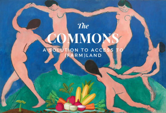 Commons: a solution to access to (farm)land