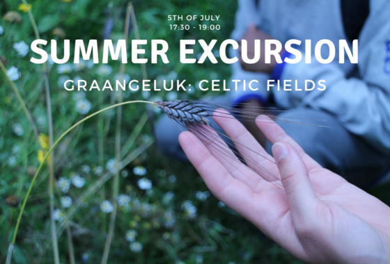 Summer Excursion: Celtic Fields