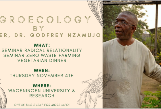 Seminar: Radical Relationality by dr. Godfrey Nzamujo