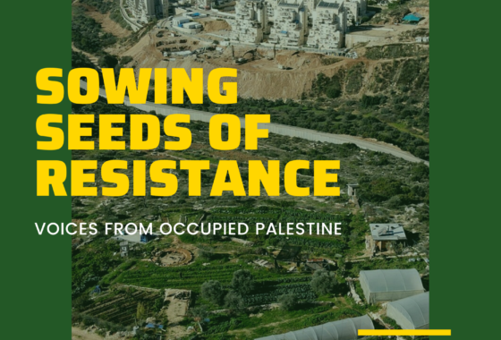 Sowing the Seeds of Resistance – Voices from Occupied Palestine