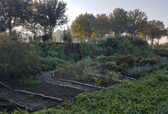 Excursion and help out at Herenboeren Goedentijd