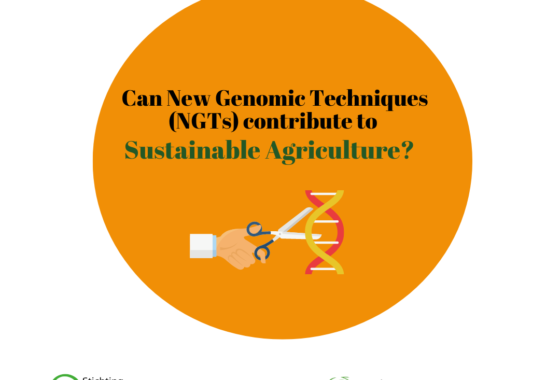 The Break: Can New Genomic Techniques (NGTs) contribute to sustainable agriculture?