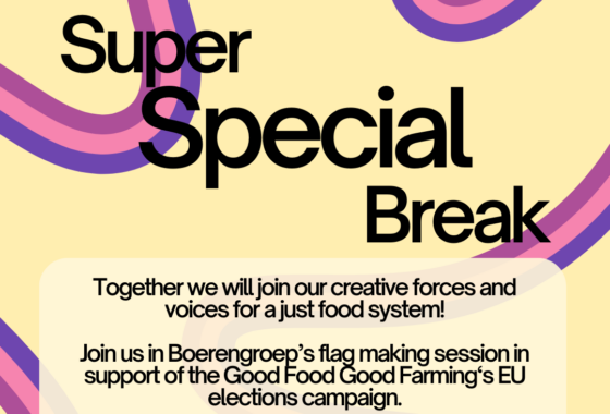 Flag-Making Kickoff: Good Food Good Farming Campaign